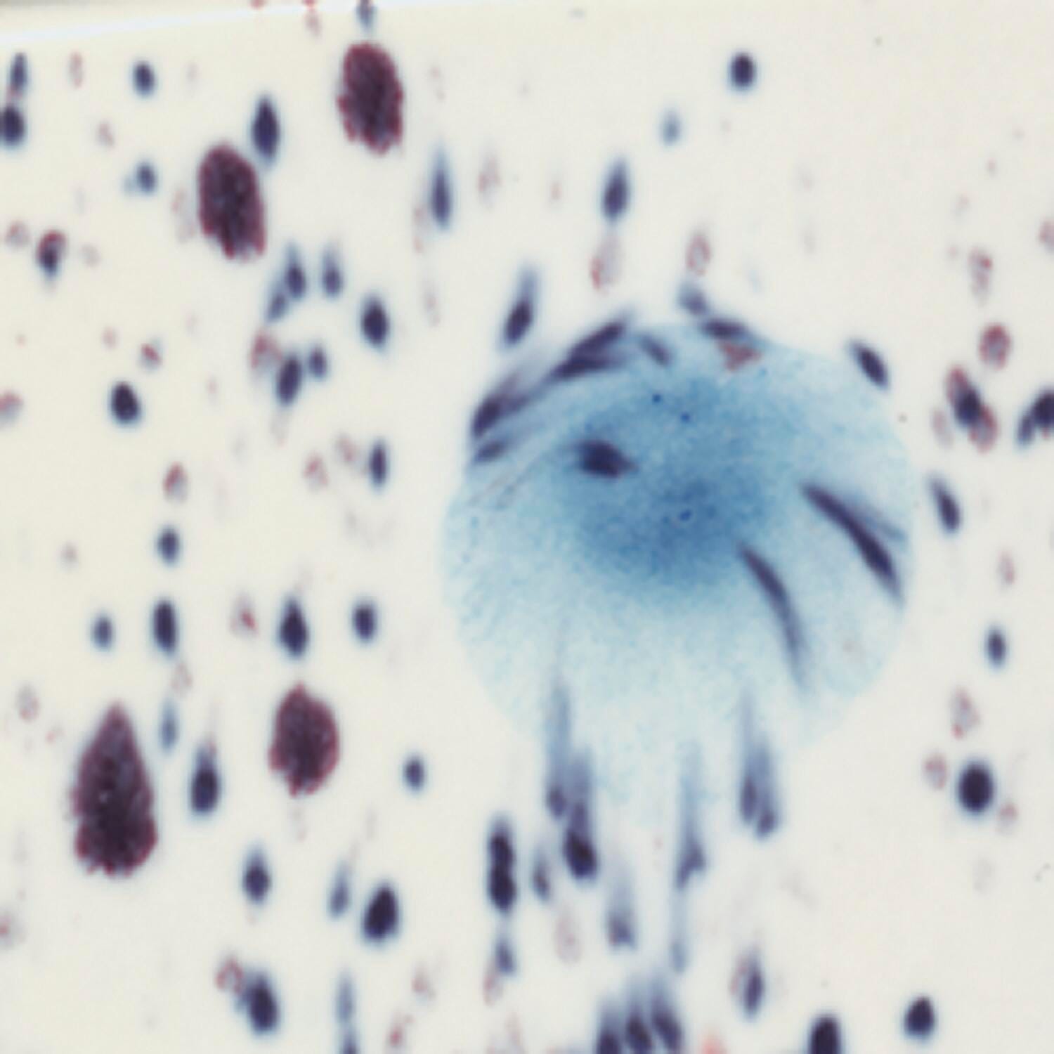 Sax Crystal Magic Glaze, Peacock Eye, 1 Pint 404858